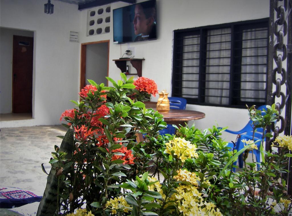 Hostal Palohe ตากังกา ภายนอก รูปภาพ
