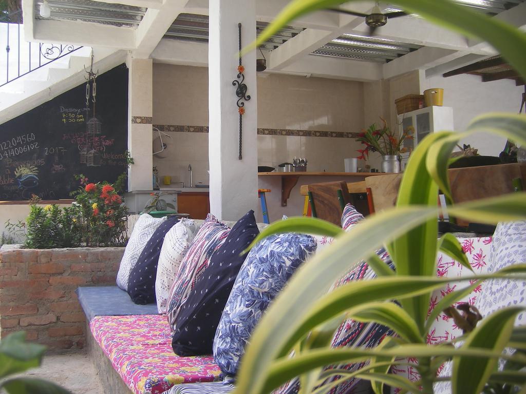 Hostal Palohe ตากังกา ภายนอก รูปภาพ